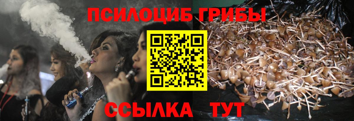 Галлюциногенные грибы ЛСД Дальнегорск