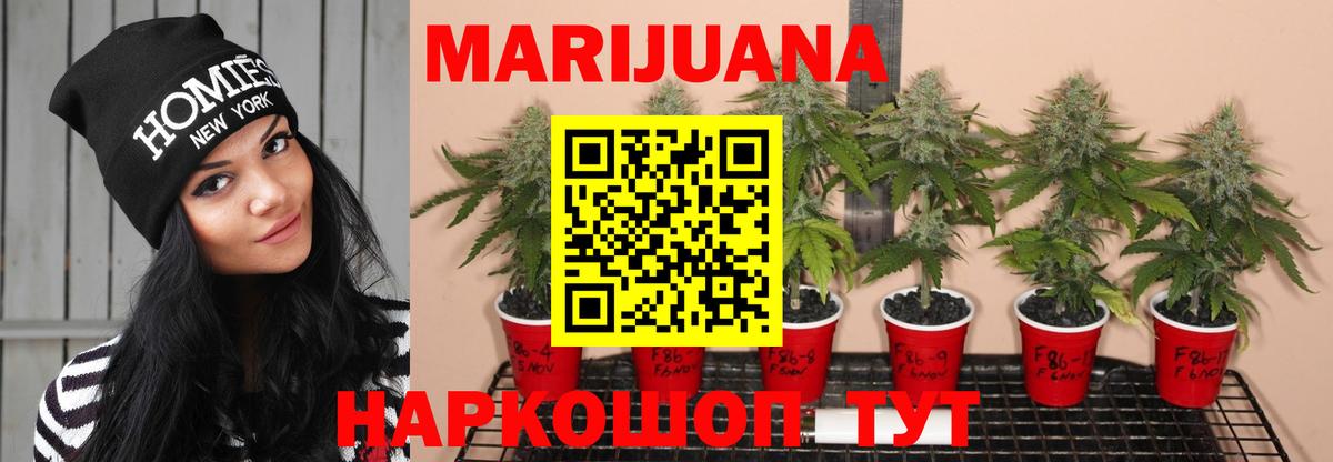 Марихуана OG Kush Дальнегорск